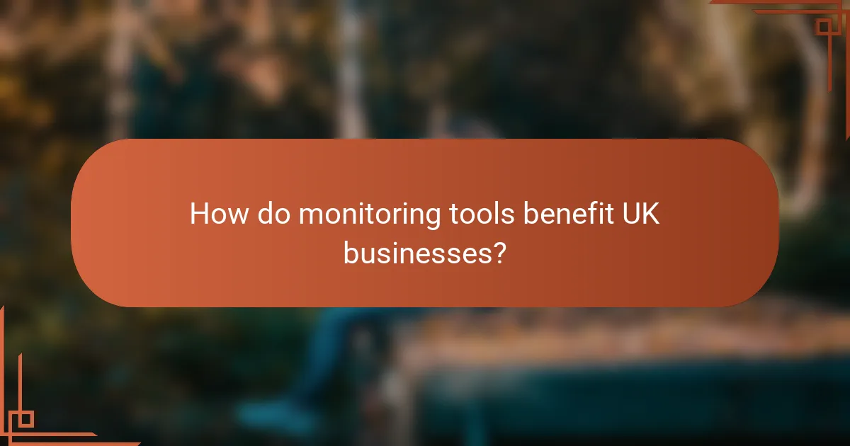 How do monitoring tools benefit UK businesses?