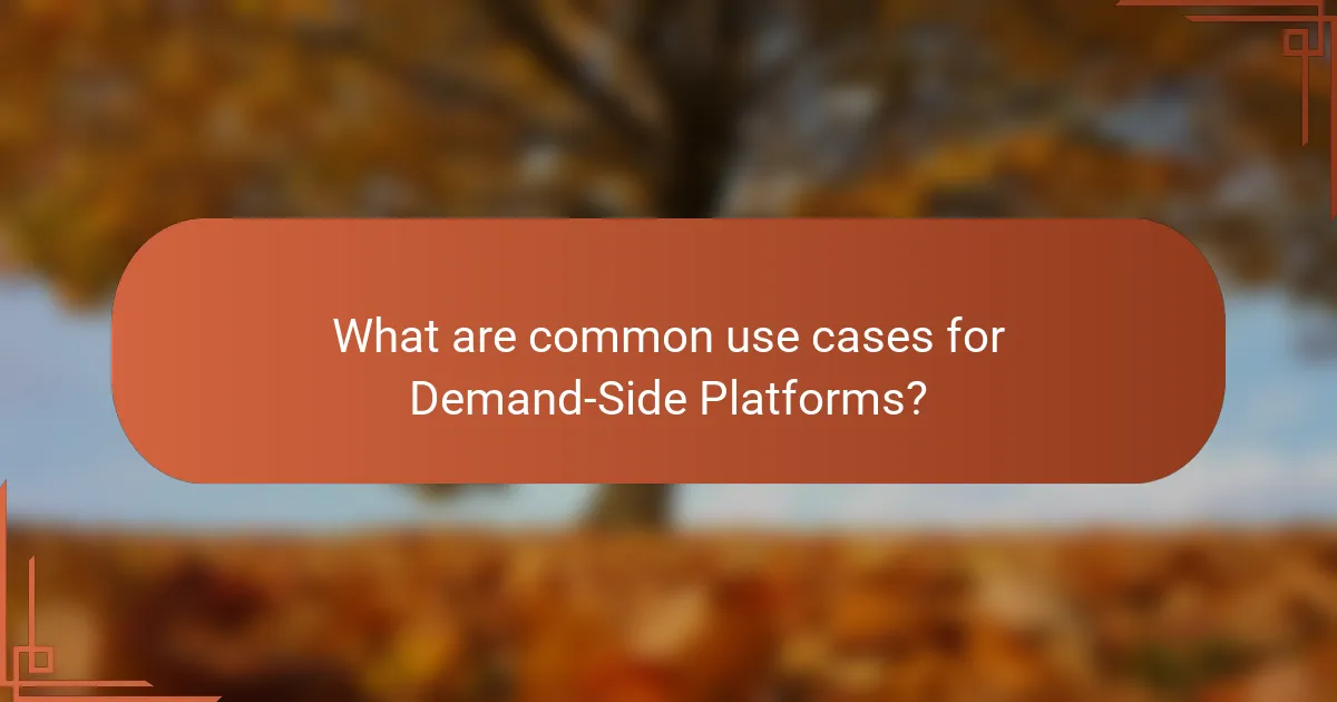 What are common use cases for Demand-Side Platforms?
