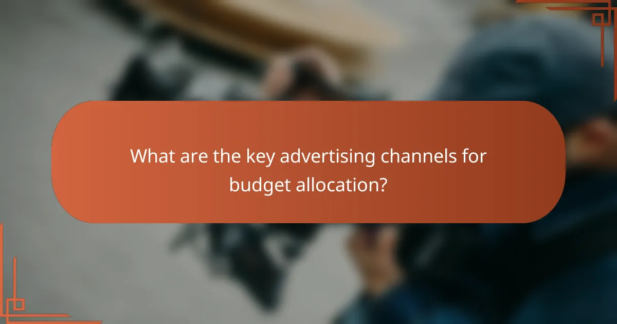 What are the key advertising channels for budget allocation?