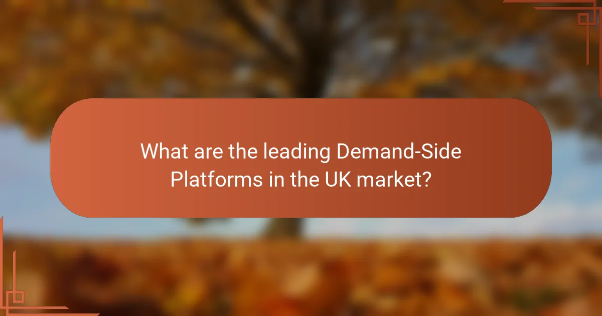 What are the leading Demand-Side Platforms in the UK market?